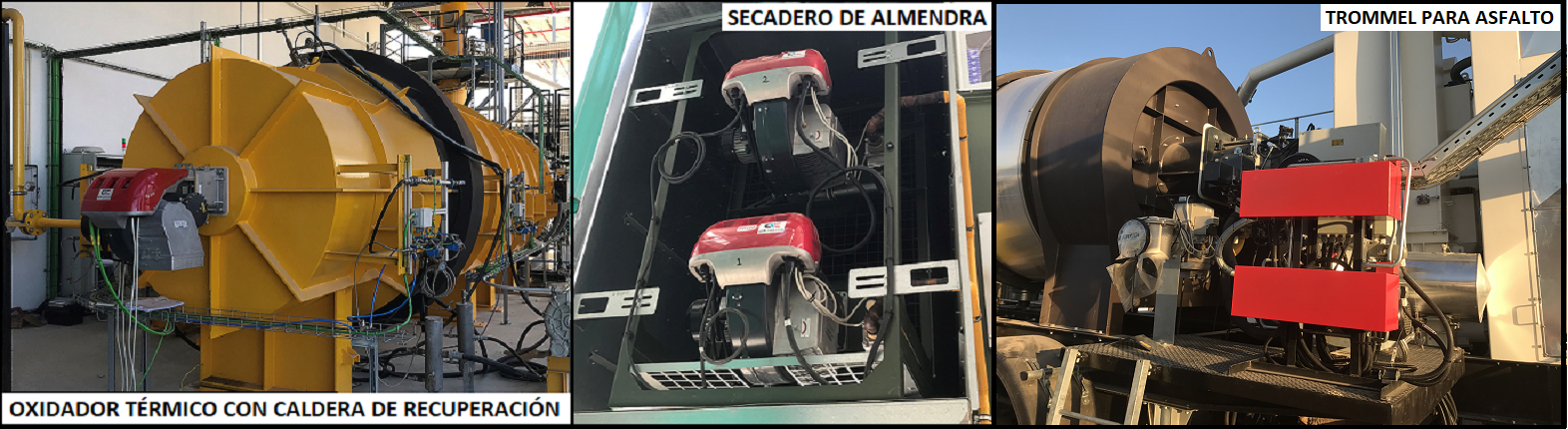 PLANT - Collage-S.Primario-B-1572-x-430-LABEL